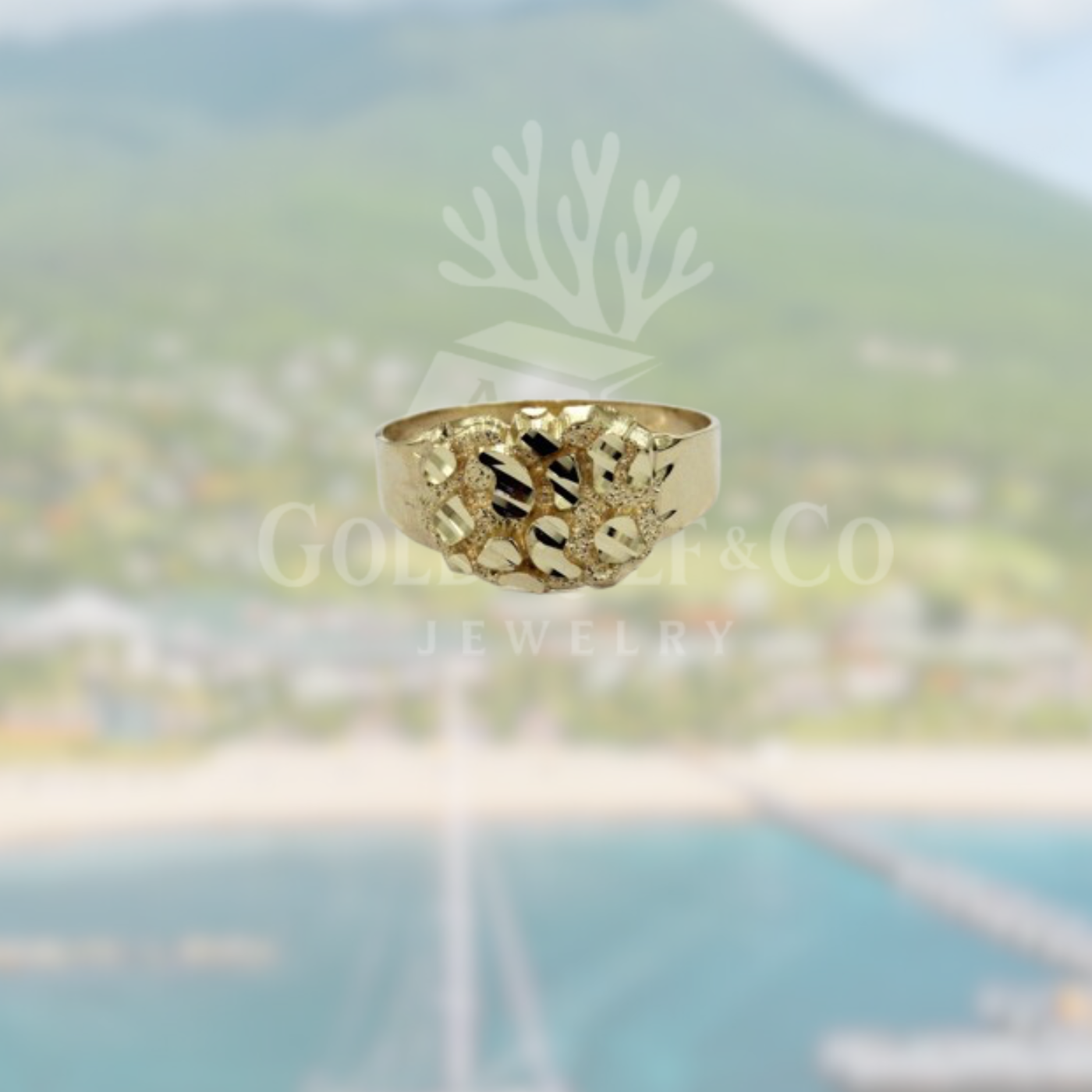 10k gold Medium oval Nugget Ring